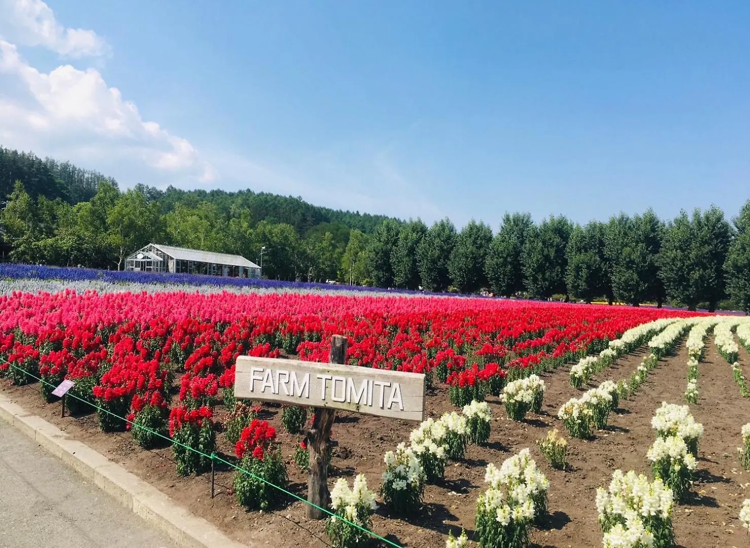 Hotel Adagio Hokkaido Biei Gasthof